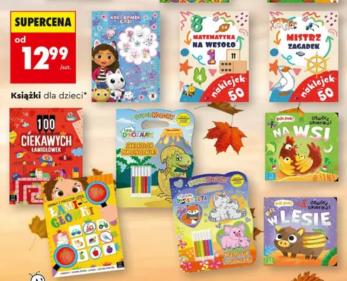 Książki dla dzieci Biedronka promocja w Biedronka