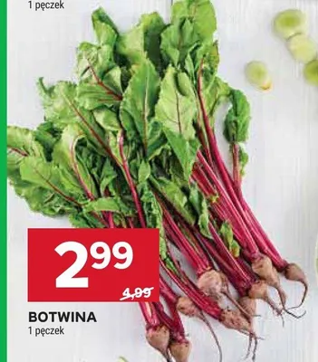 Botwina promocja w Stokrotka