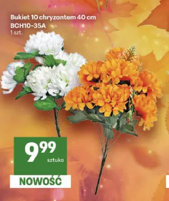 Bukiet 10 chryzantem 40 cm promocja w Delikatesy Centrum