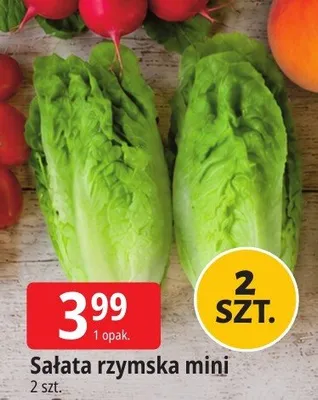 Sałata rzymska mini 2-pak promocja w Leclerc