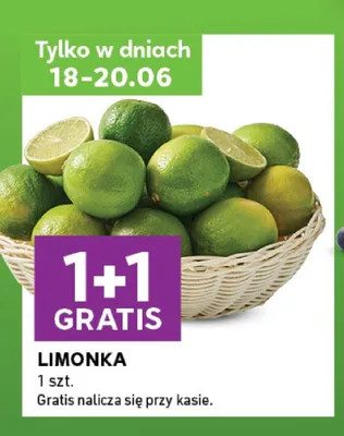 Limonka promocja w Stokrotka