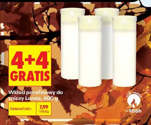 Wkład parafinowy do zniczy Lumia promocja w Biedronka