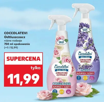 Odtłuszczacz różne rodzaje promocja w Kaufland