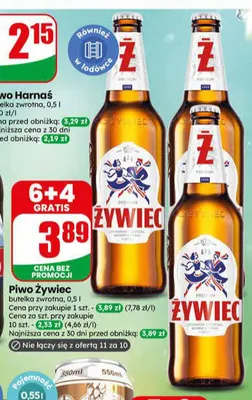 Piwo Żywiec promocja w Dino