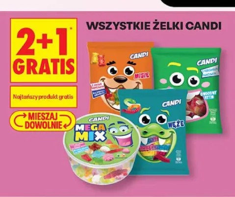Żelki Candi Węże promocja w Biedronka