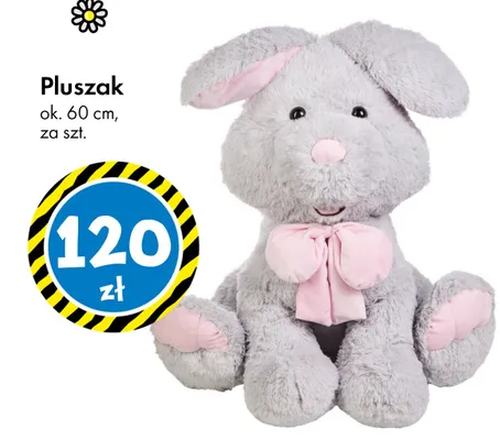 Pluszak ok. 60 cm promocja w Tedi