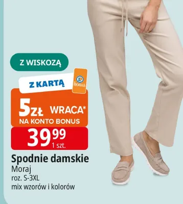 Spodnie damskie promocja w Leclerc