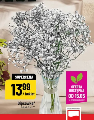 Gipsówka bukiet 5-pak promocja w POLOmarket