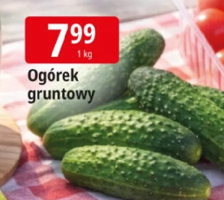 Ogórek gruntowy promocja w Leclerc