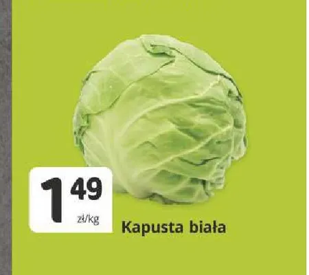 Kapusta biała promocja w Marketvita