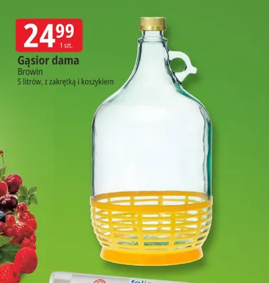Gąsior dama Browin promocja w Leclerc