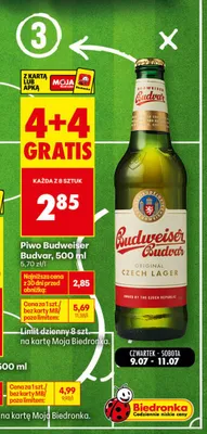 Piwo Budweiser Budvar promocja w Biedronka