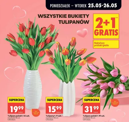 Bukiety tulipanów promocja w Biedronka