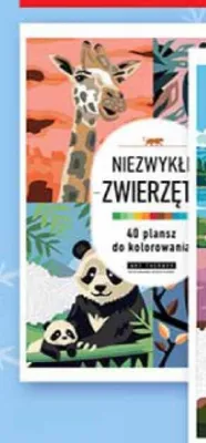 Książka Niezwykłe zwierzęta 49 plansz do kolorowania promocja w Biedronka