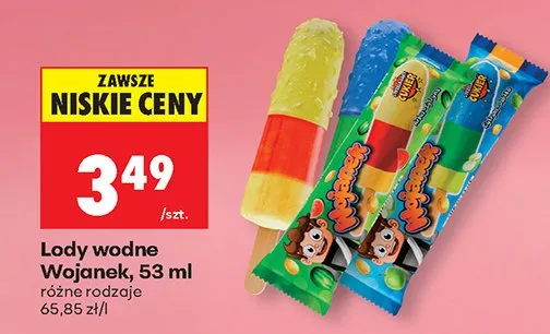 Lody wodne różne rodzaje promocja w Biedronka
