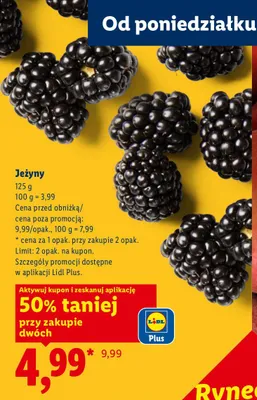 Jeżyny promocja w Lidl