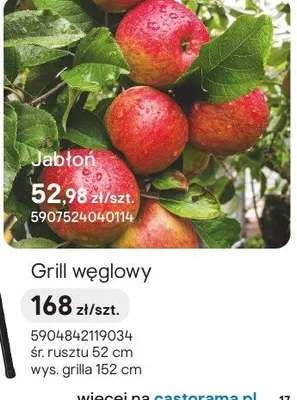 Grill węglowy promocja w Castorama