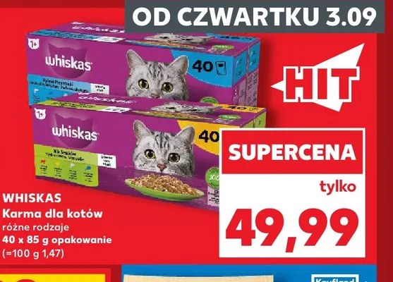 Karma dla kotów Whiskas 40-pak promocja w Kaufland