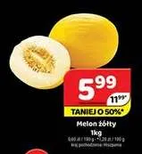 Melon żółty promocja w Delfin