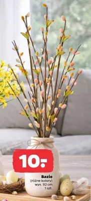 Bazie, różne kolory promocja w Netto