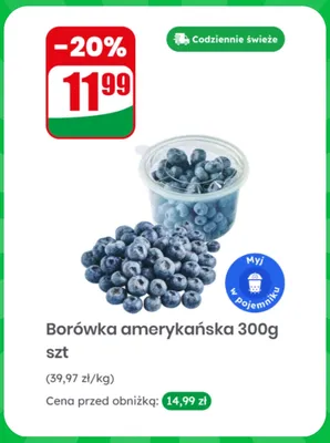 Borówka amerykańska promocja w Dino
