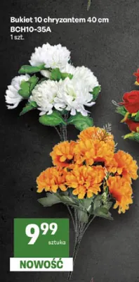 Bukiet 10 chryzantem 40 cm BCH10-35A promocja w Delikatesy Centrum