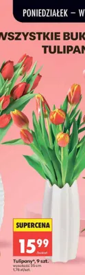 Tulipany 9szt. wysokość 35cm promocja w Biedronka