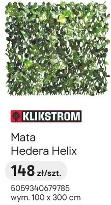Mata Hedera Helix promocja w Castorama