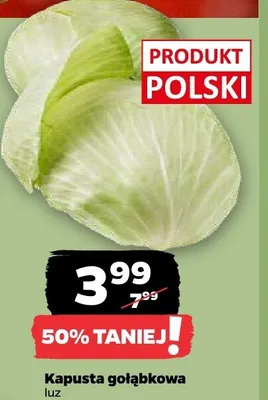 Kapusta gołąbkowa luz promocja w Netto