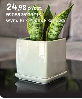 Donica z podstawką kwadratowa kremowa promocja w Castorama