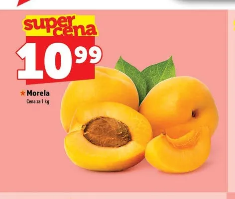 Morela promocja w TOPAZ