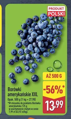 Borówki amerykańskie XXL promocja w Aldi