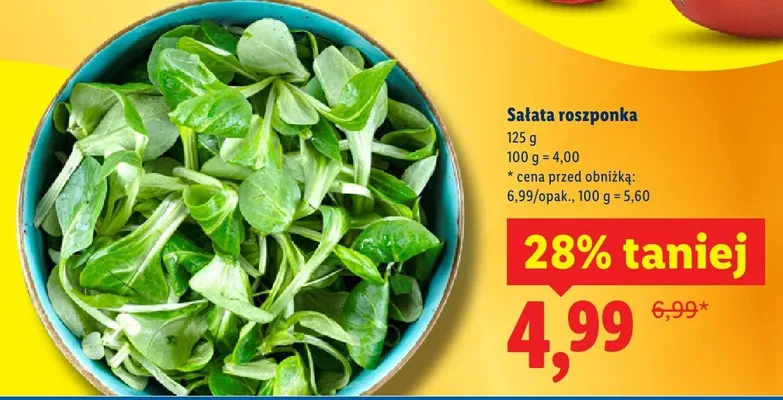 Sałata roszponka Lidl promocja w Lidl