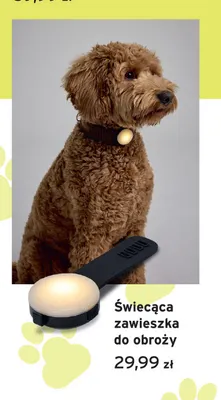 Świecąca zawieszka do obroży promocja w Tchibo