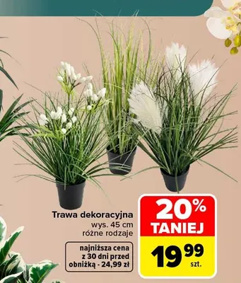 Trawa dekoracyjna promocja w Carrefour