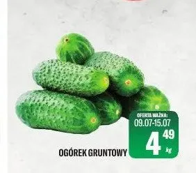 Ogórek gruntowy promocja w Tomi Markt