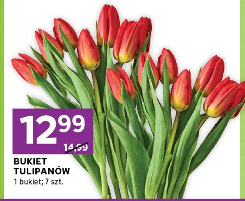 Bukiet tulipanów promocja w Stokrotka