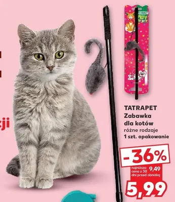 Zabawka dla kotów różne rodzaje promocja w Kaufland