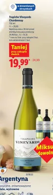 Wino  Chardonnay promocja w Lidl