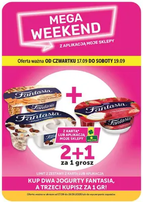 Jogurt Fantasia z płatkami w czekoladzie promocja w ABC