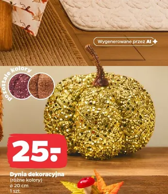 Dynia dekoracyjna ø20 cm promocja w Netto