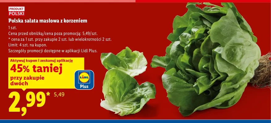 Sałata masłowa z korzeniem polska promocja w Lidl