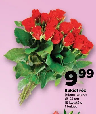 Bukiet róż dł. 25cm 15 kwiatów promocja w Netto