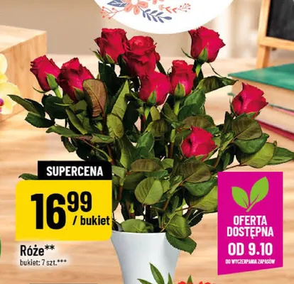 Róże promocja w POLOmarket