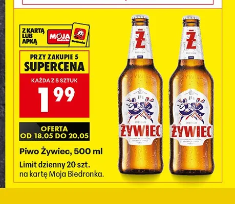 Piwo Żywiec promocja w Biedronka