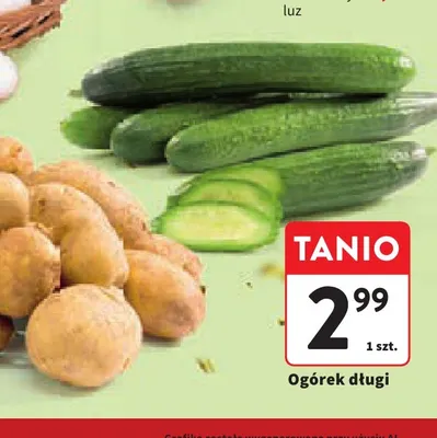 Ogórek długi promocja w Intermarche