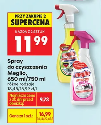 Spray do czyszczenia różne rodzaje promocja w Biedronka