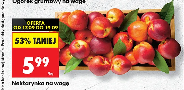 Nektarynka na wagę promocja w Biedronka