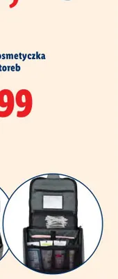 Organizer podróżny promocja w Lidl