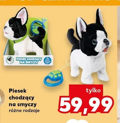 Piesek na smyczy promocja w Kaufland